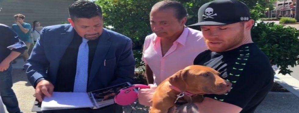 'Gracias por el perro', dice Canelo Álvarez y le responden, '¿cuál gracias? son 150 mil dólares'